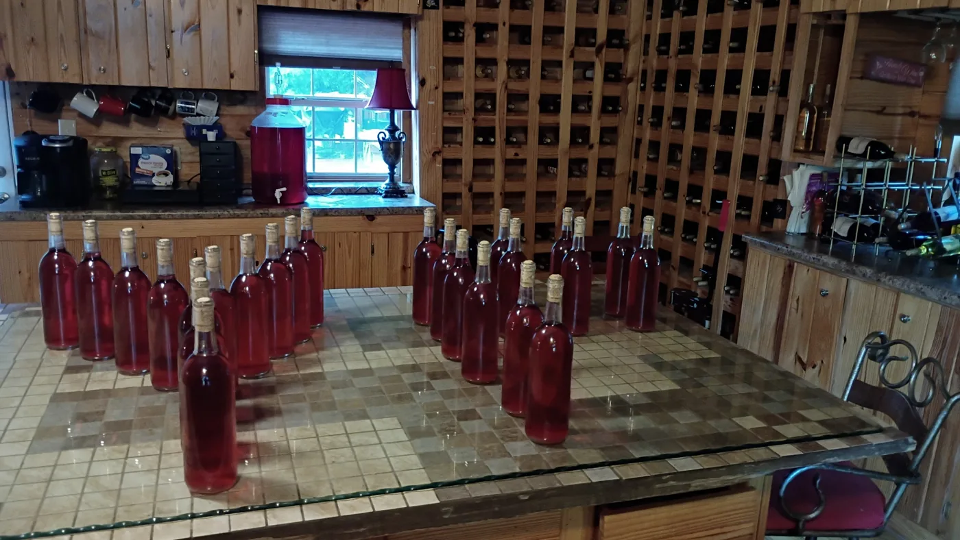 Wine bottles arranged on a table at Young Family Farm