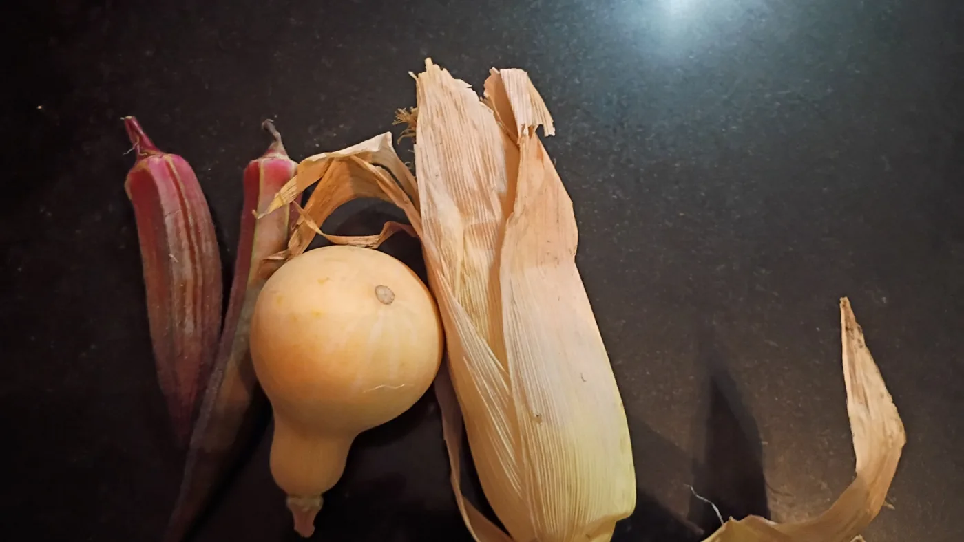 Harvested vegetables from Young Family Farm